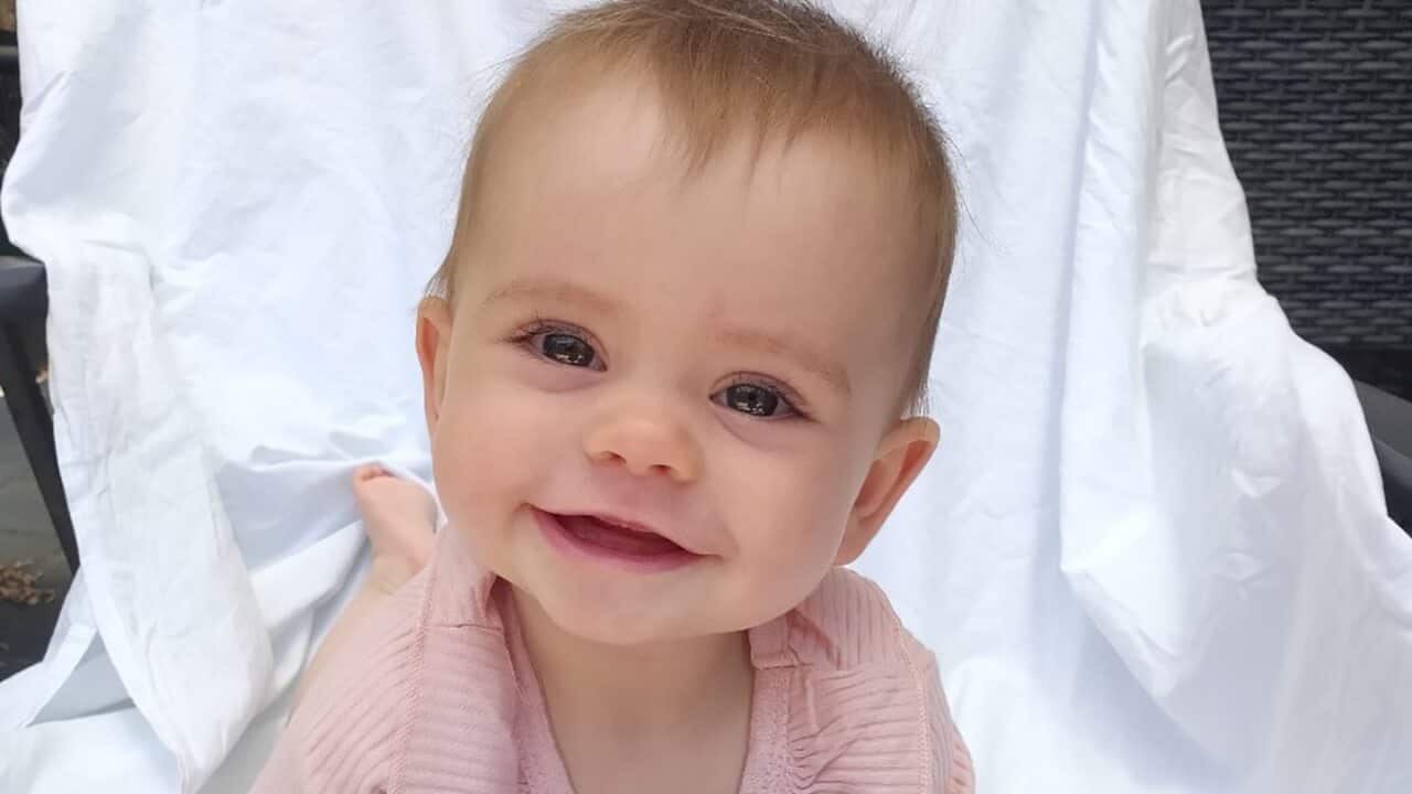 The deaths of a man and his young daughter in South Australia are being treated as a murder-suicide, police say.