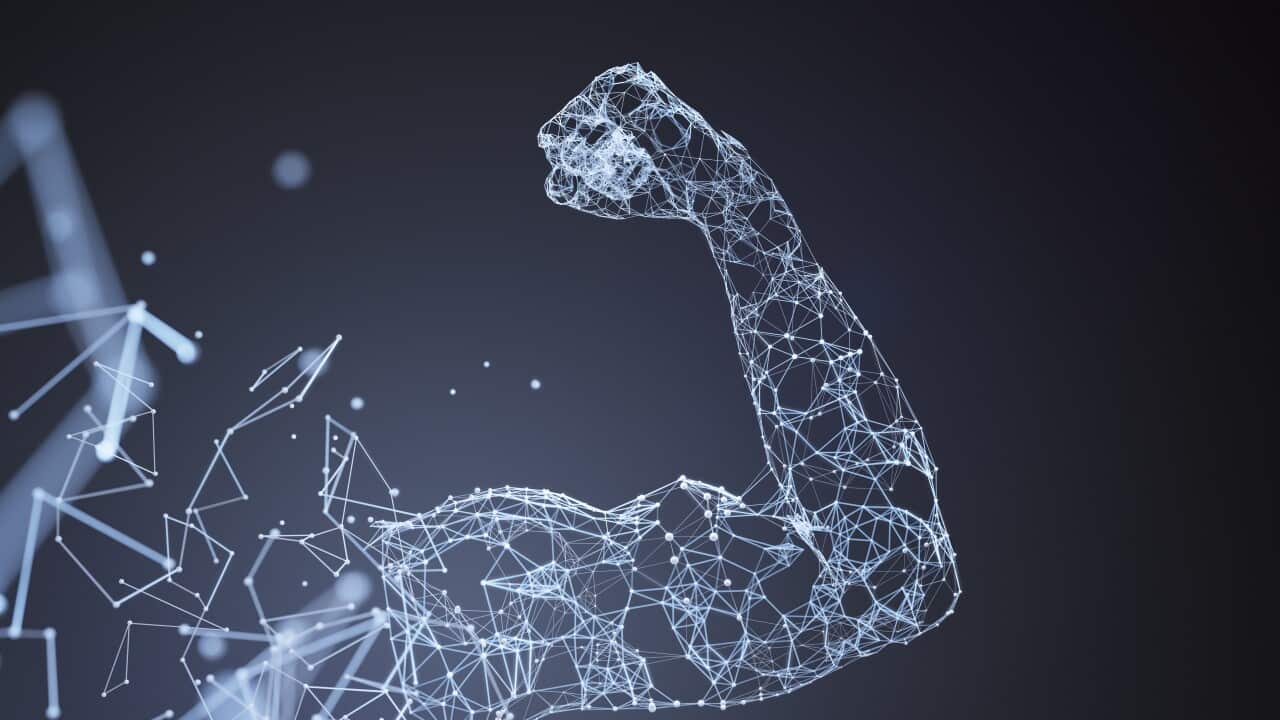 Muscle network landscape blue