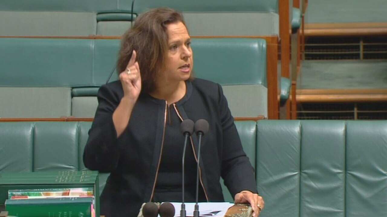 Labor MP Michelle Rowland in the House of Representatives on Monday.