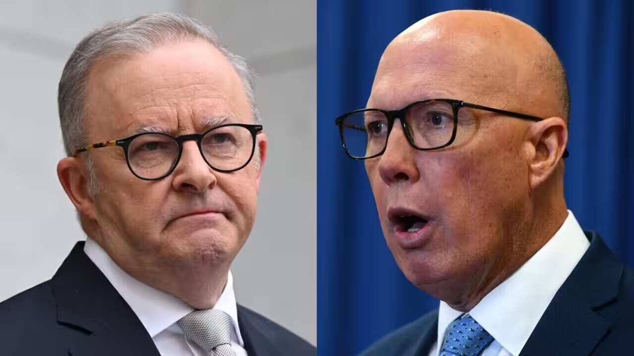 Anthony Albanese, Peter Dutton