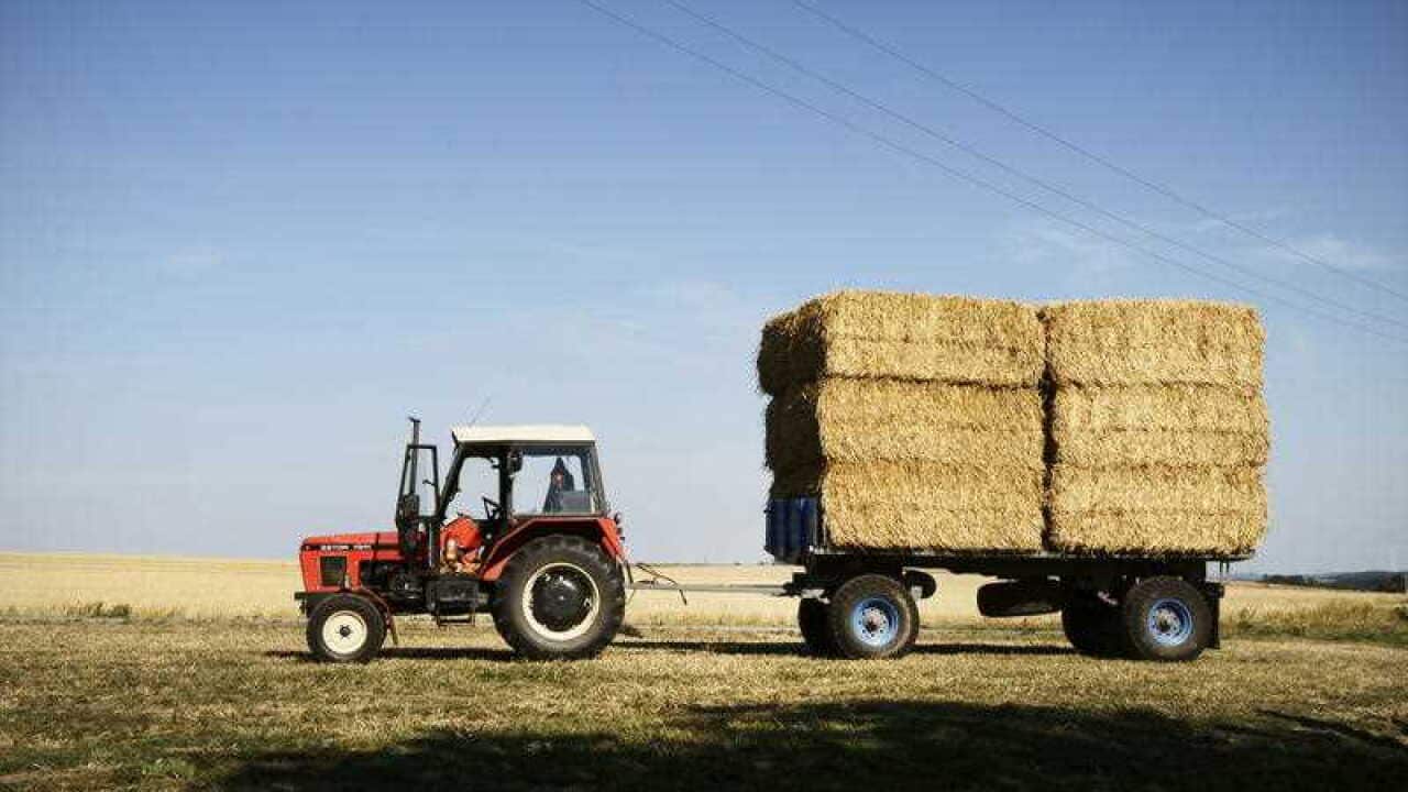 Biomass, hay bale, farming, agriculture