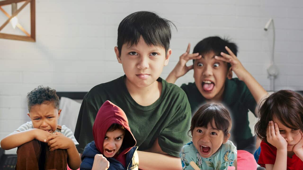 Copy of News+UServices YT Thumbnails (2).jpg