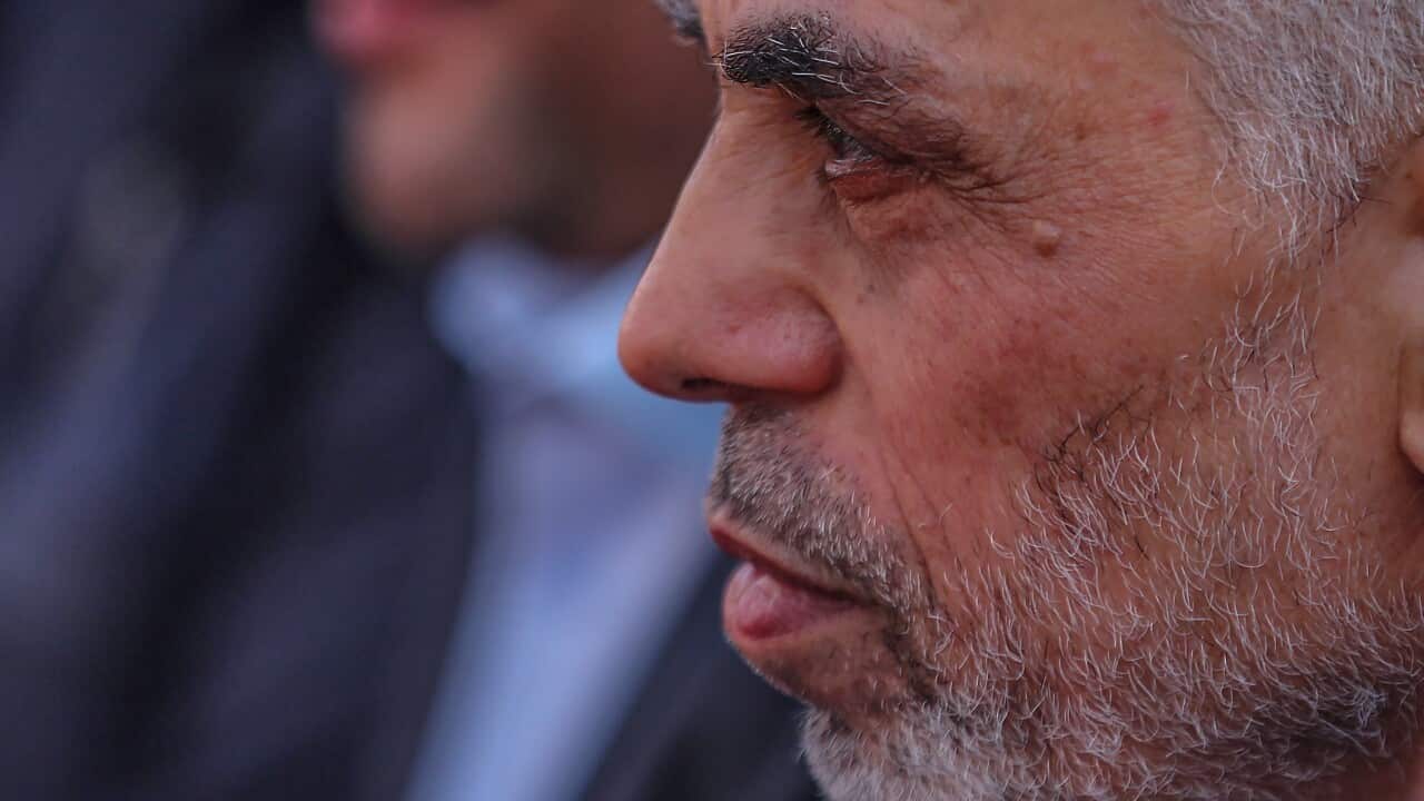 Image for read more article ''