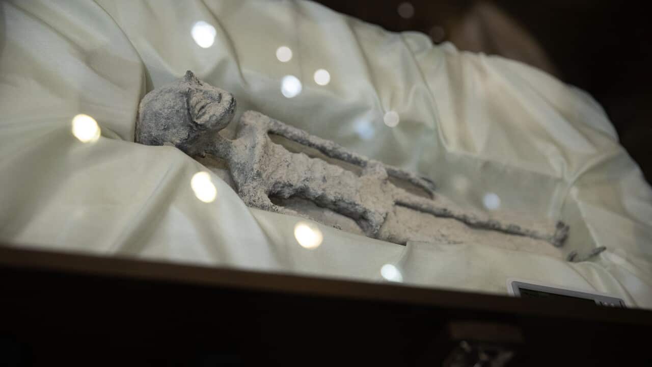 "Non-human" alien corpses are displayed to the media in Mexico City