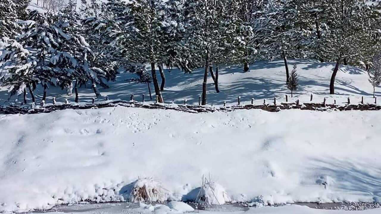 Snow in Northren of Iraq