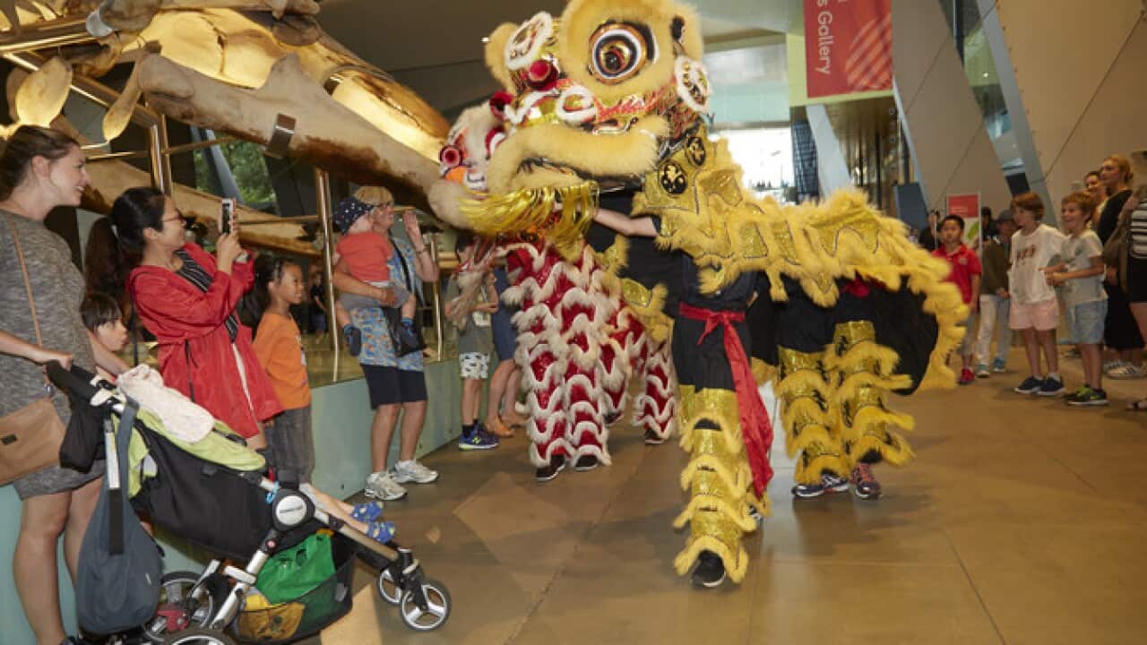 Members of the Hung Gar Yau Shu Martial Arts School performing a traditional Chinese Lion Dance at Melbourne Museum.