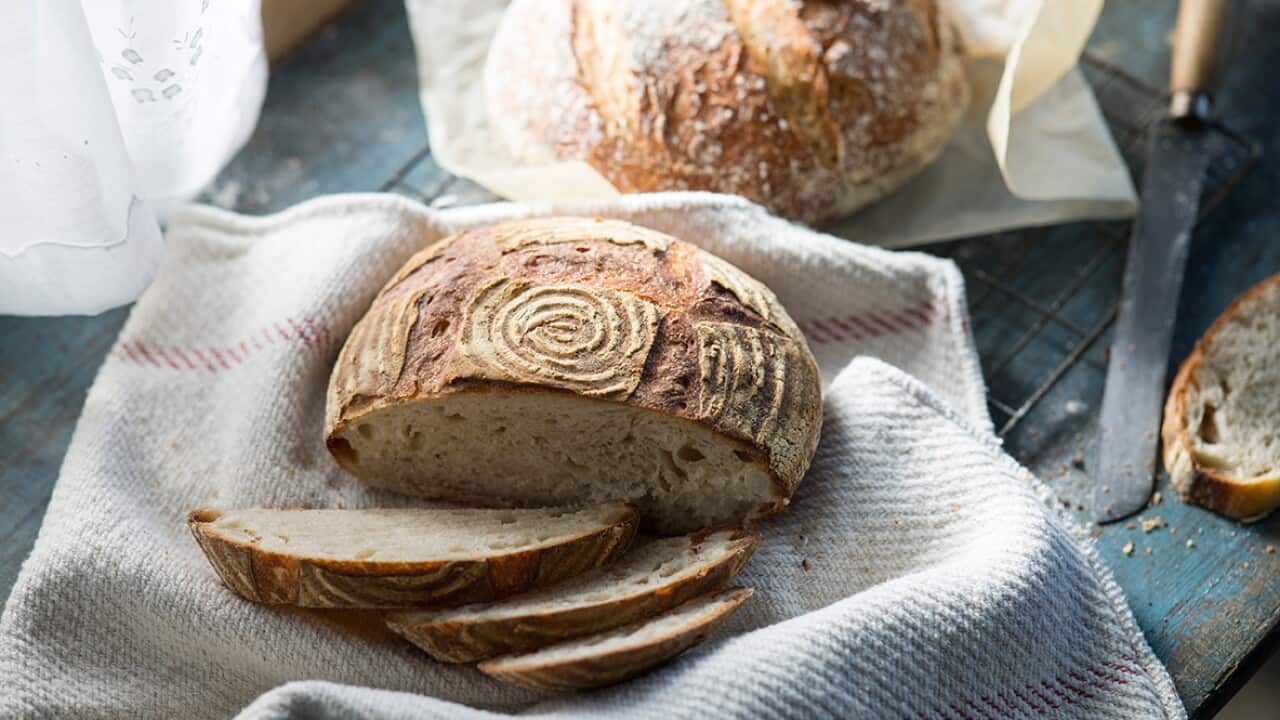 Regular sourdough is great. But would you slice up a loaf derived from millennia-old ingredients?