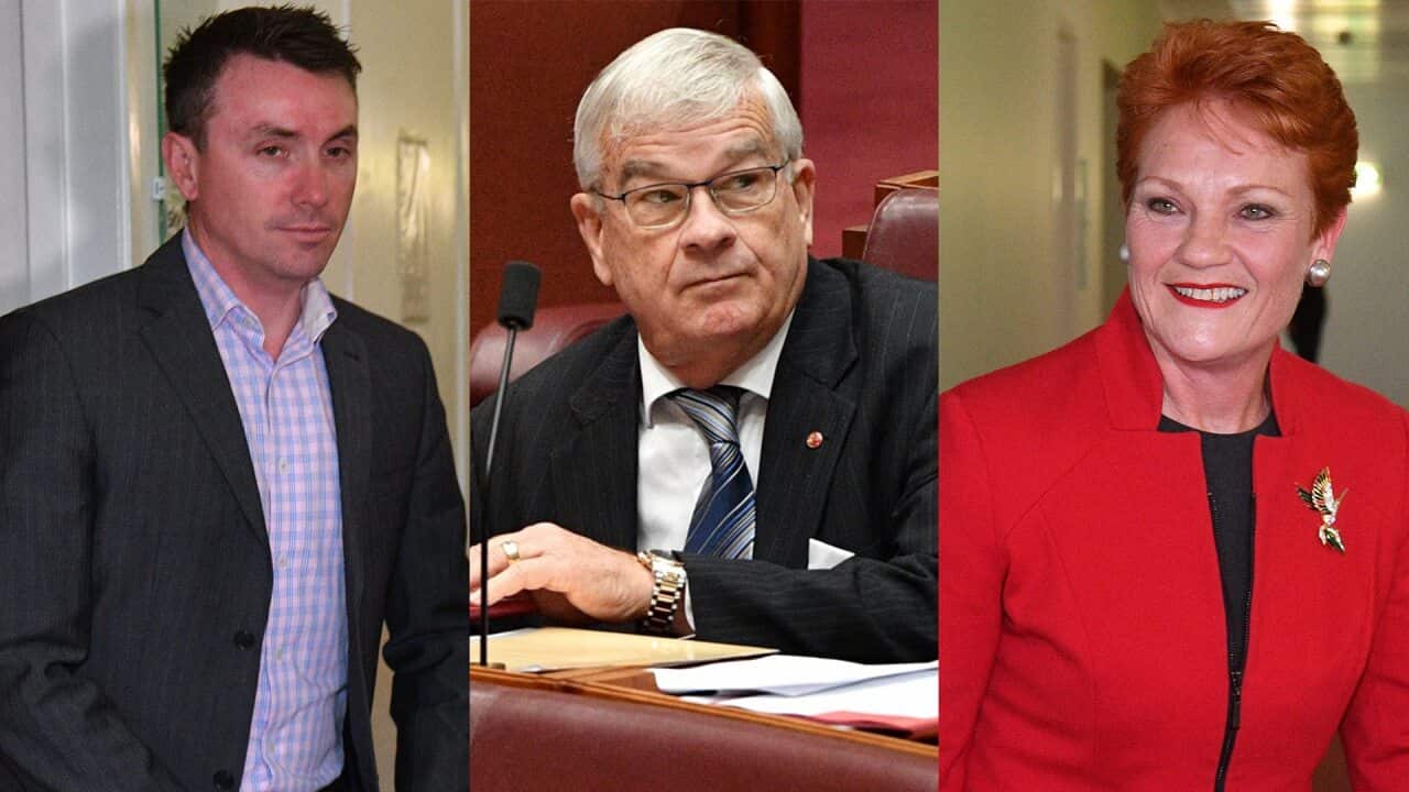 Left to right: James Ashby, Brian Burston and Pauline Hanson.