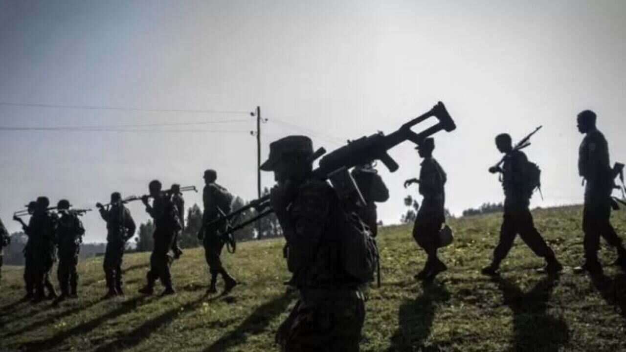 Homeland News