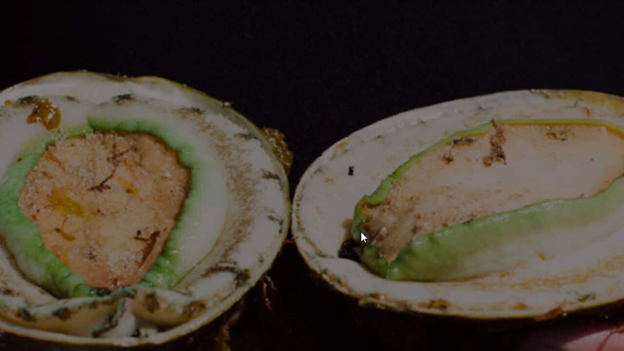 Image for read more article ''