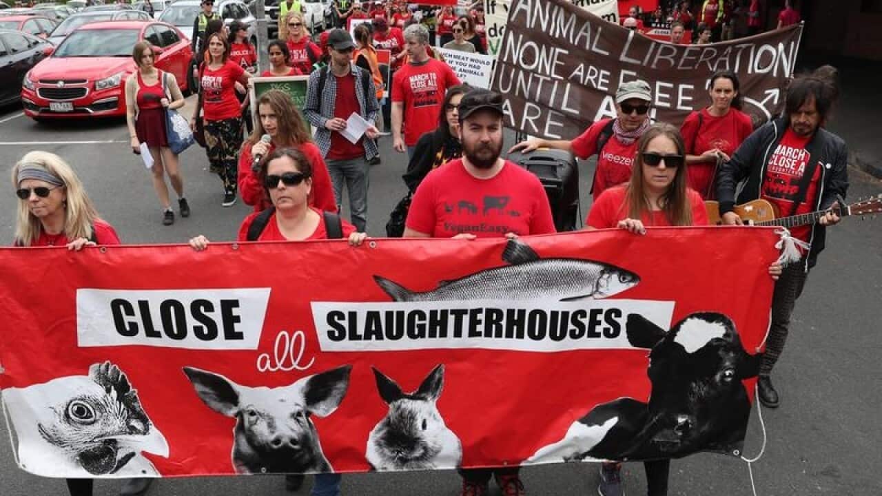 Animal rights protesters during a march in Melbourne.