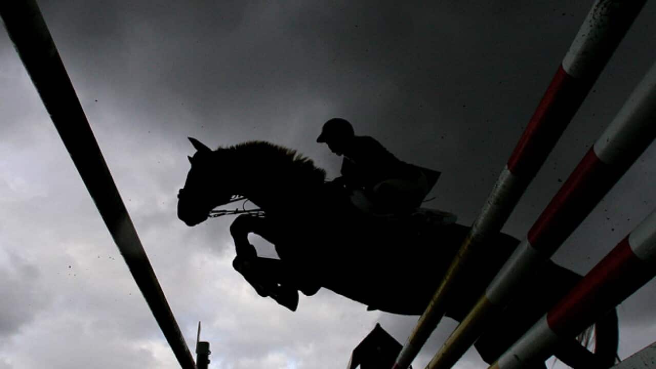 horse_jump_generic_110530_B_getty_421778615