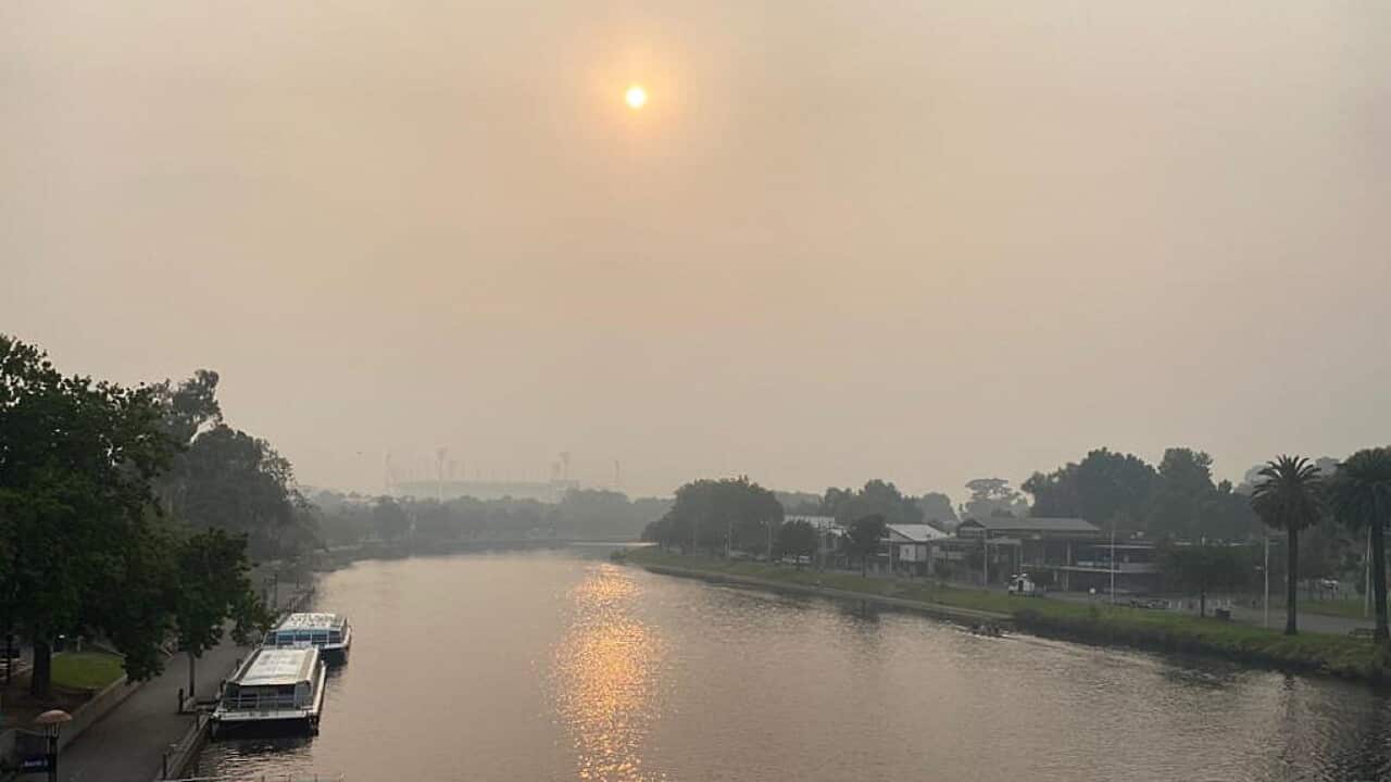Melbourne, Gennaio 2020. Francesca Rizzoli/SBS Italian