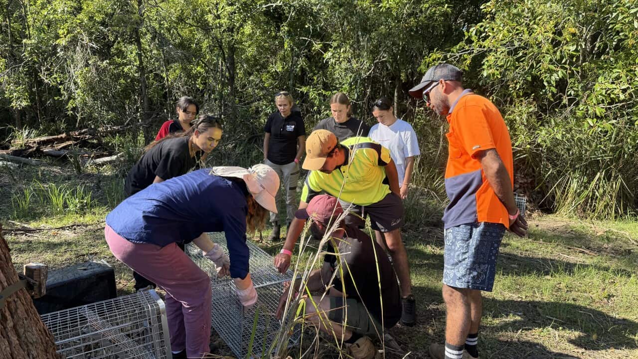 South Coast Aboriginal rangers pest control workshop.jpeg