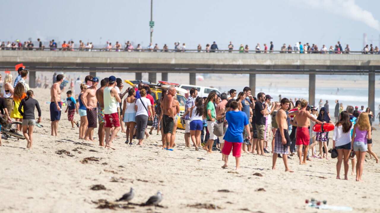 Beachgoers stand on the shore near Venice Beach