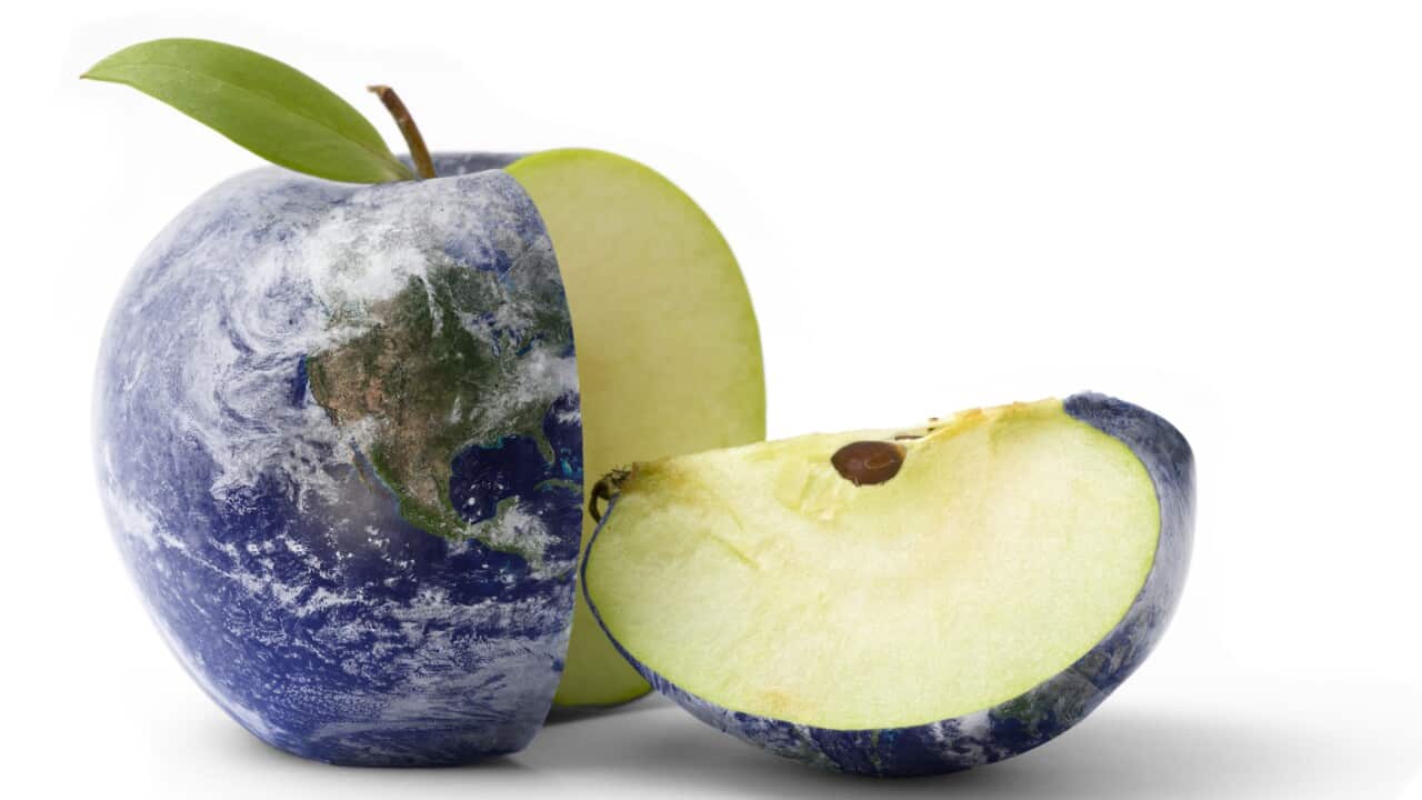 In the absence of calculated carbon footprints on food labels, consumers commonly use other information on labels to estimate the environmental impact.