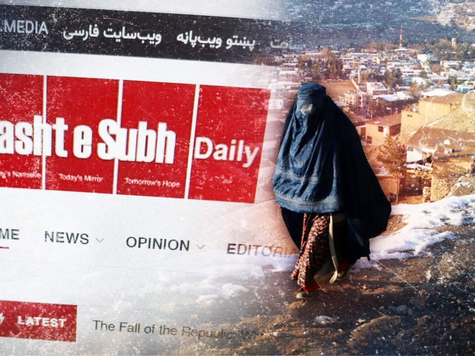 DARI HEADER.jpg