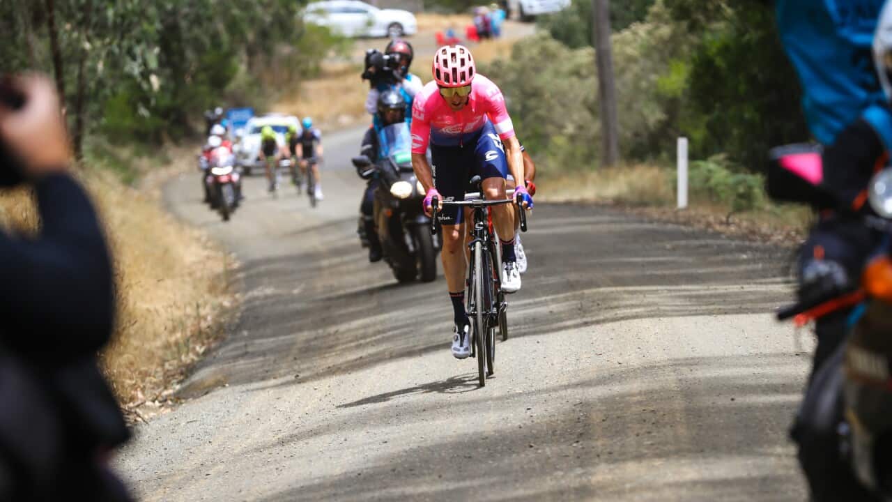 Michael Woods, EF Education First, Jayco Herald Sun Tour