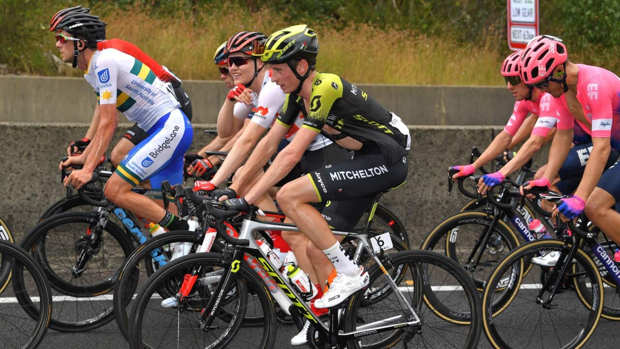 Centre of picture - Lucas Hamilton (Mitchelton-Scott) during the 21st Santos Tour Down Under 2019, Stage 4 a 129,2km stage from Unley to Campbelltown (Getty)