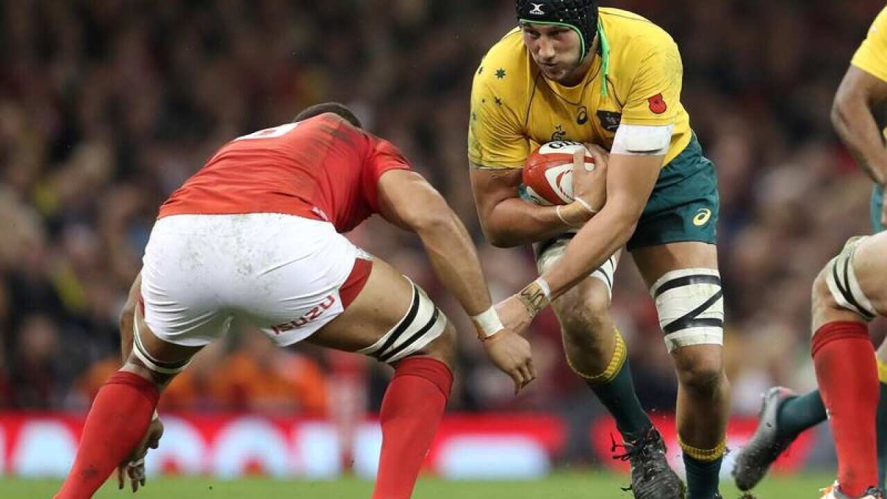 Adam Coleman hits the Welsh line.