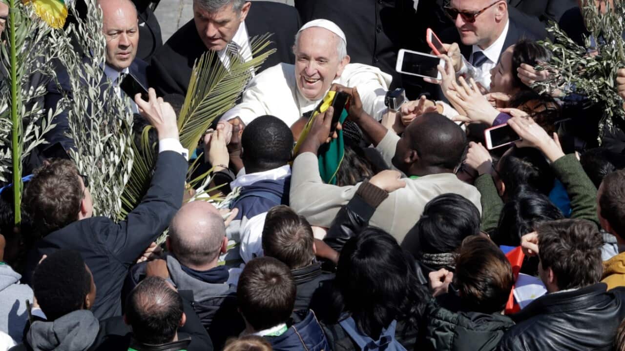 Pope Francis is cheered by faithful after celebrating a Palm Sunday Mass, at the Vatican, Sunday, March 25, 2018.