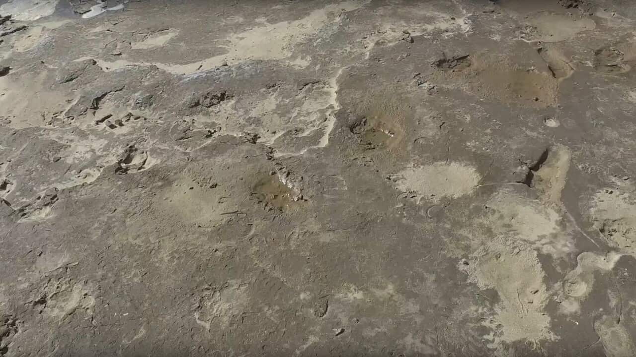 Ancient footprints at Formby in the UK (YouTube-CITIZAN).jpg