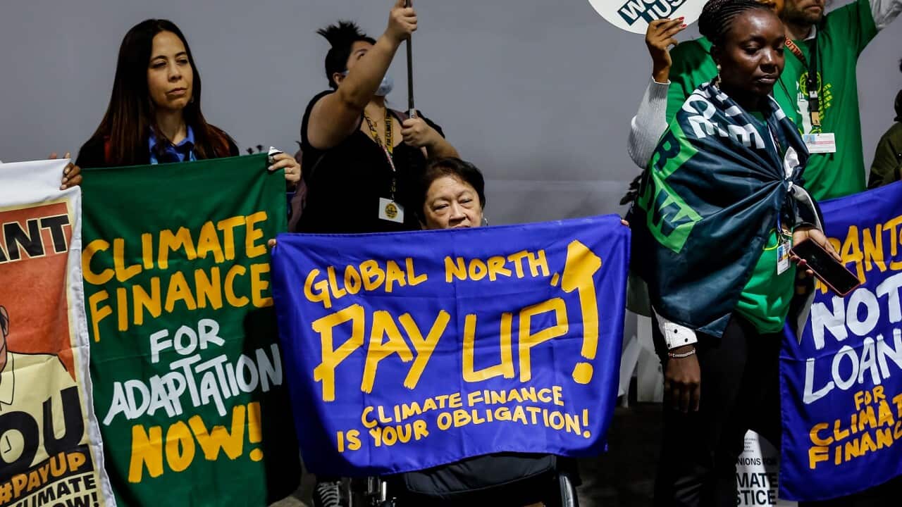 Climate protesters at the UN Climate Conference COP29 in Baku