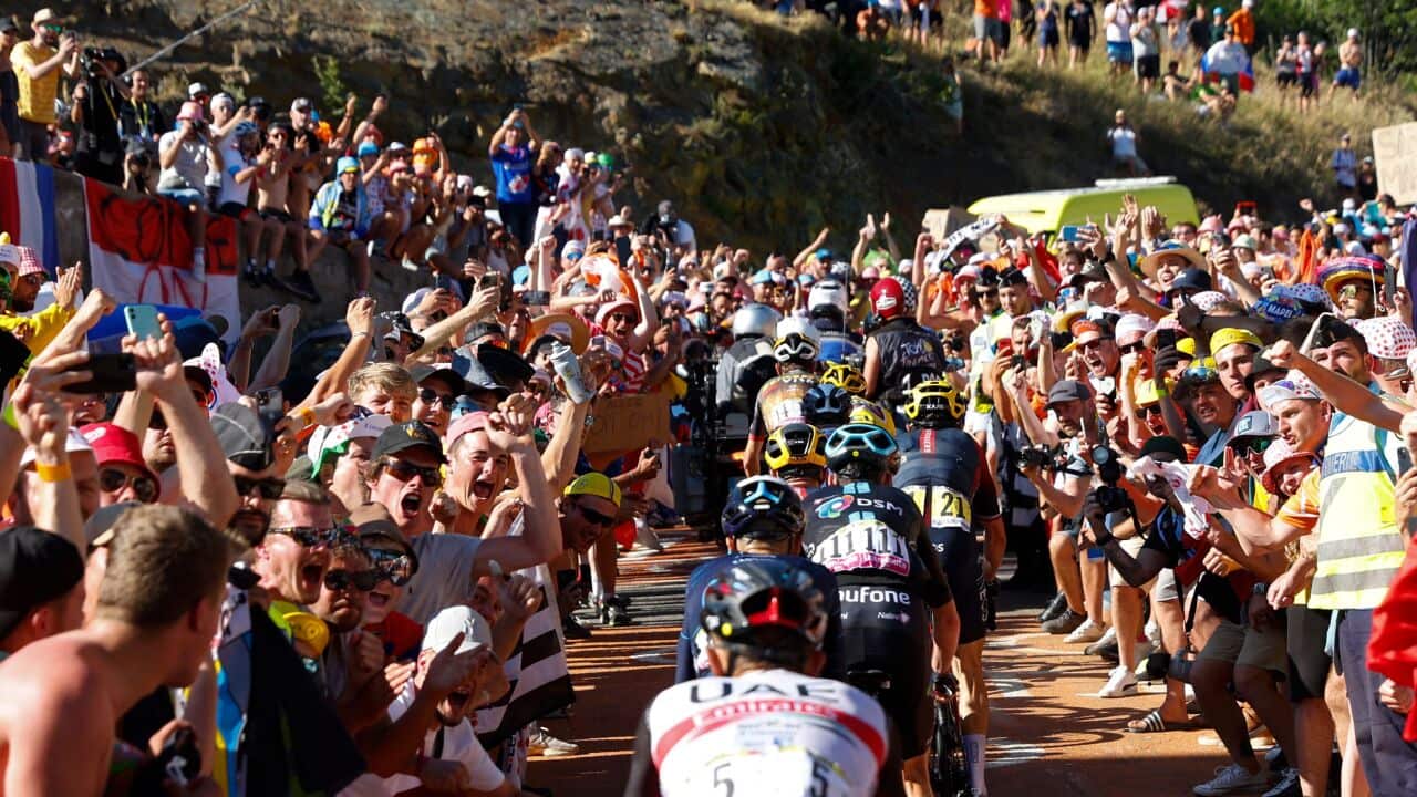 CYCLING-FRA-TDF2022-STAGE12