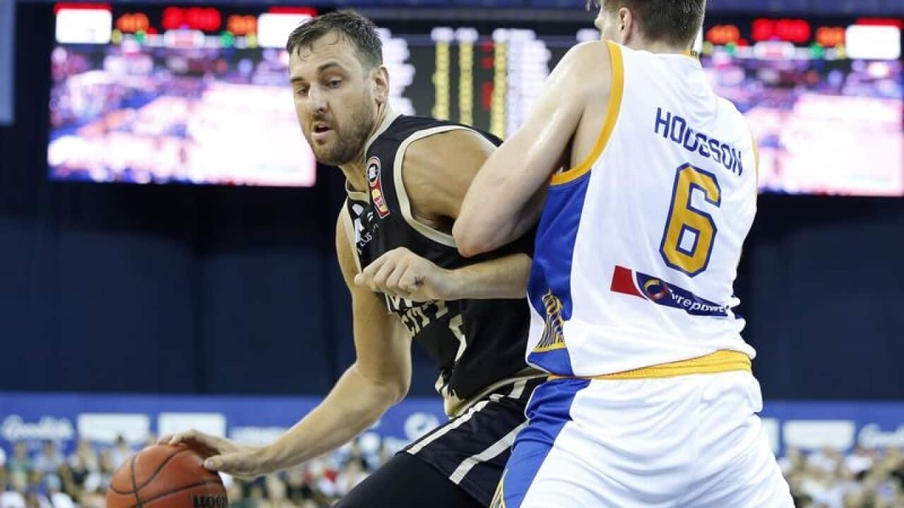 Andrew Bogut of the Kings.