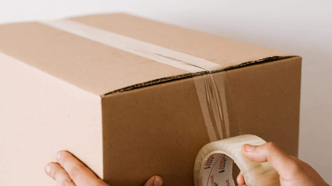 Image for read more article 'RELATED CONTENT'