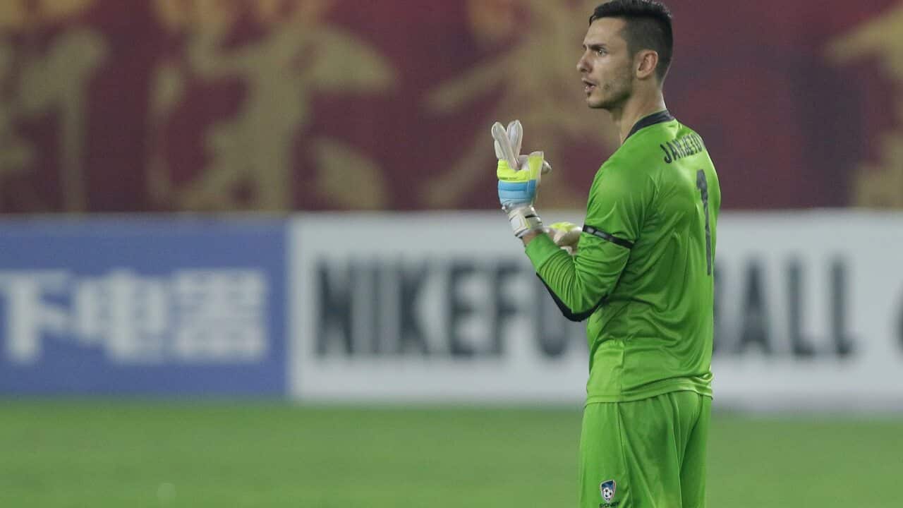 Janjetovic