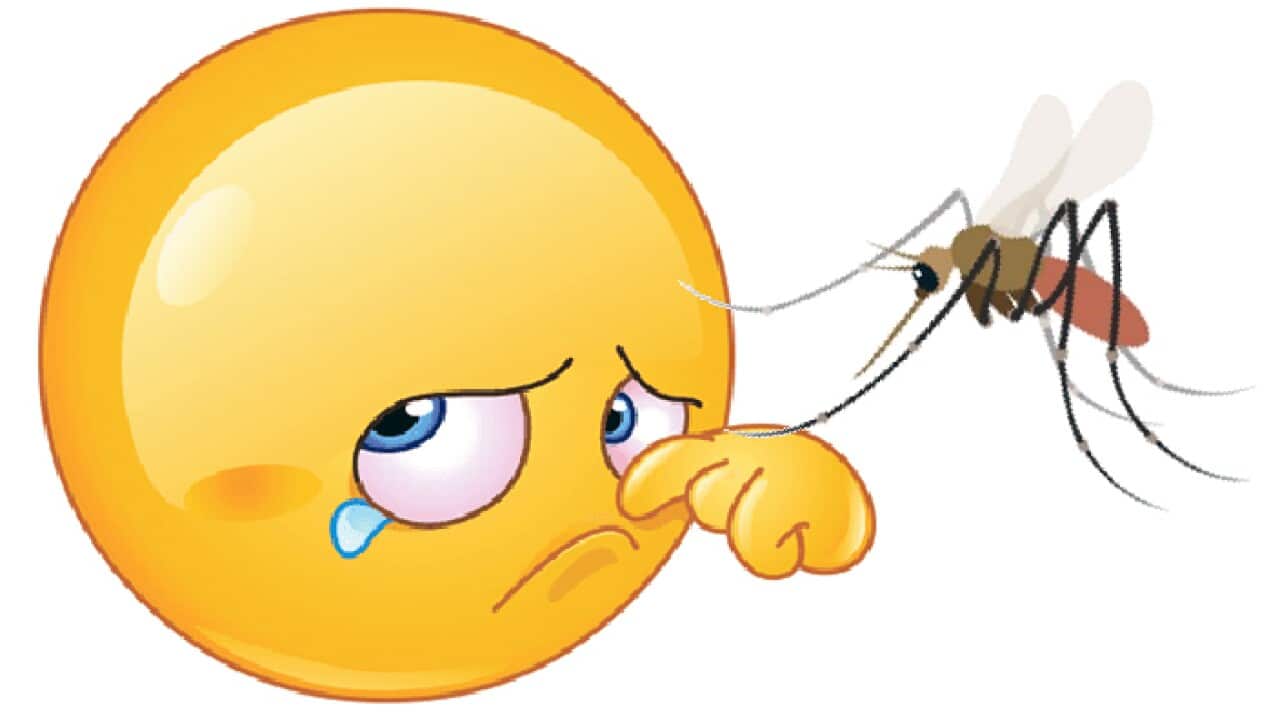 Mosquito Emoji