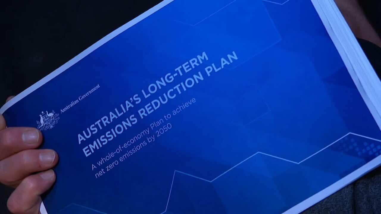 The Federal Government reveals its plan to achieve net-zero emissions