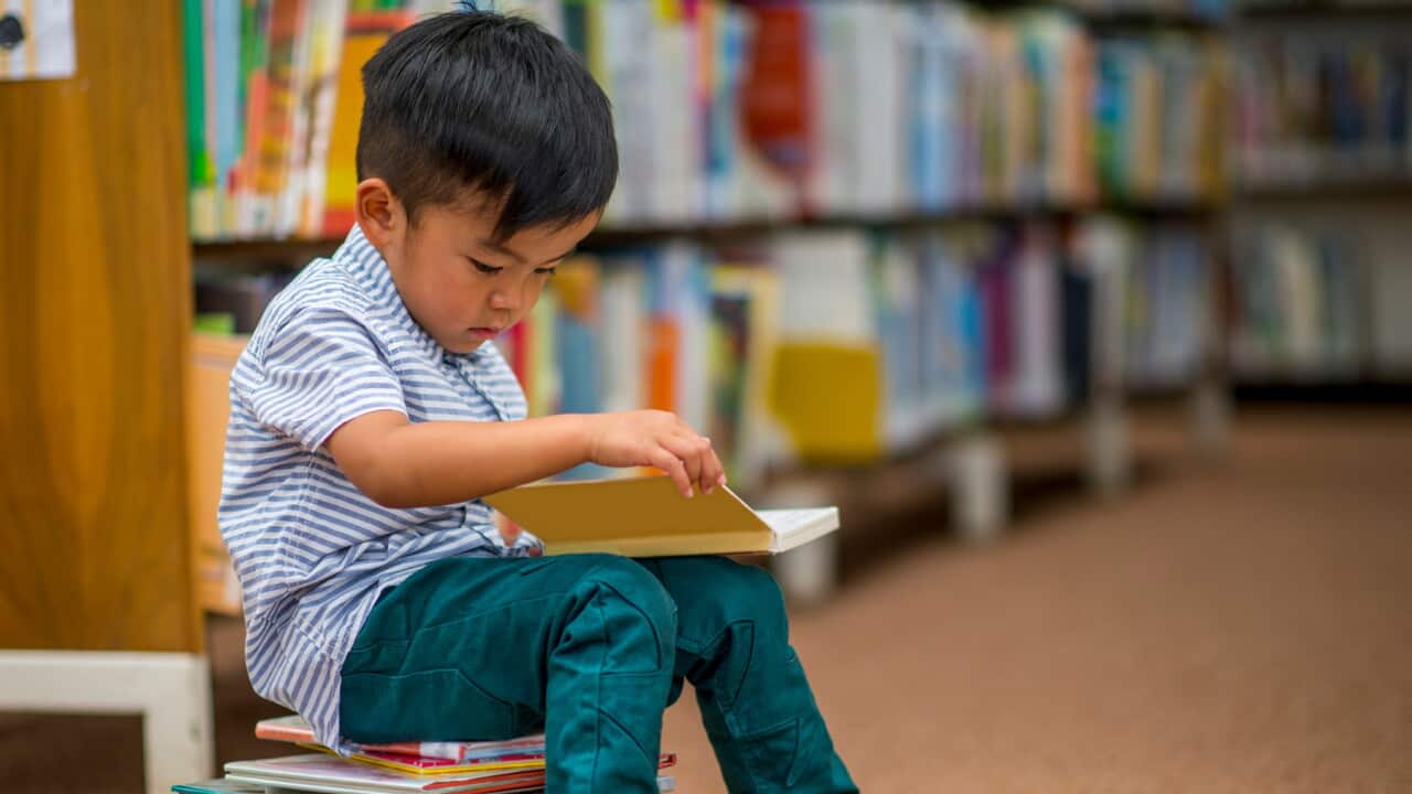 Little Boy Looking at Books