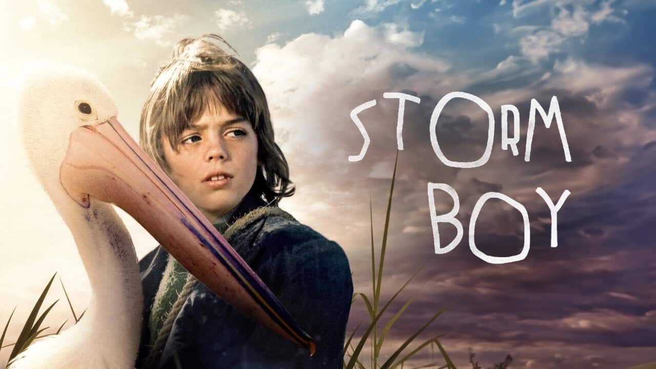 Image for read more article ''