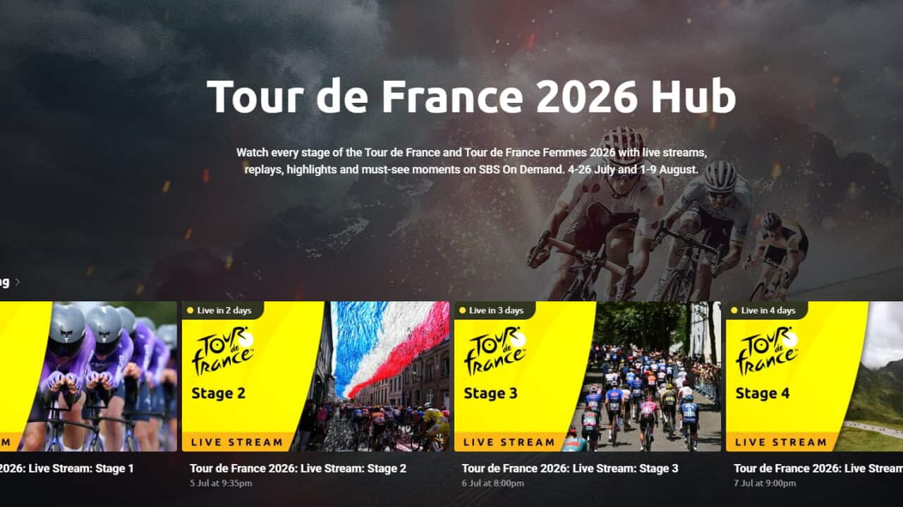 TOUR 2026.jpg