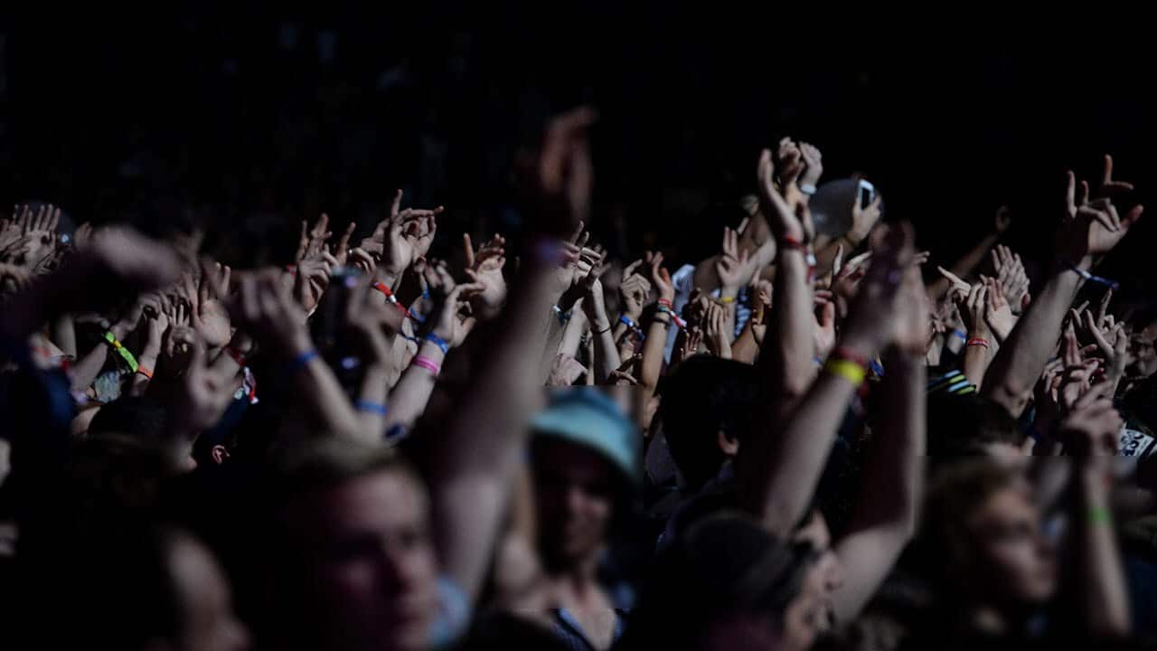 The NSW government has set up an expert drug panel after the deaths of two people after they attended a music festival.