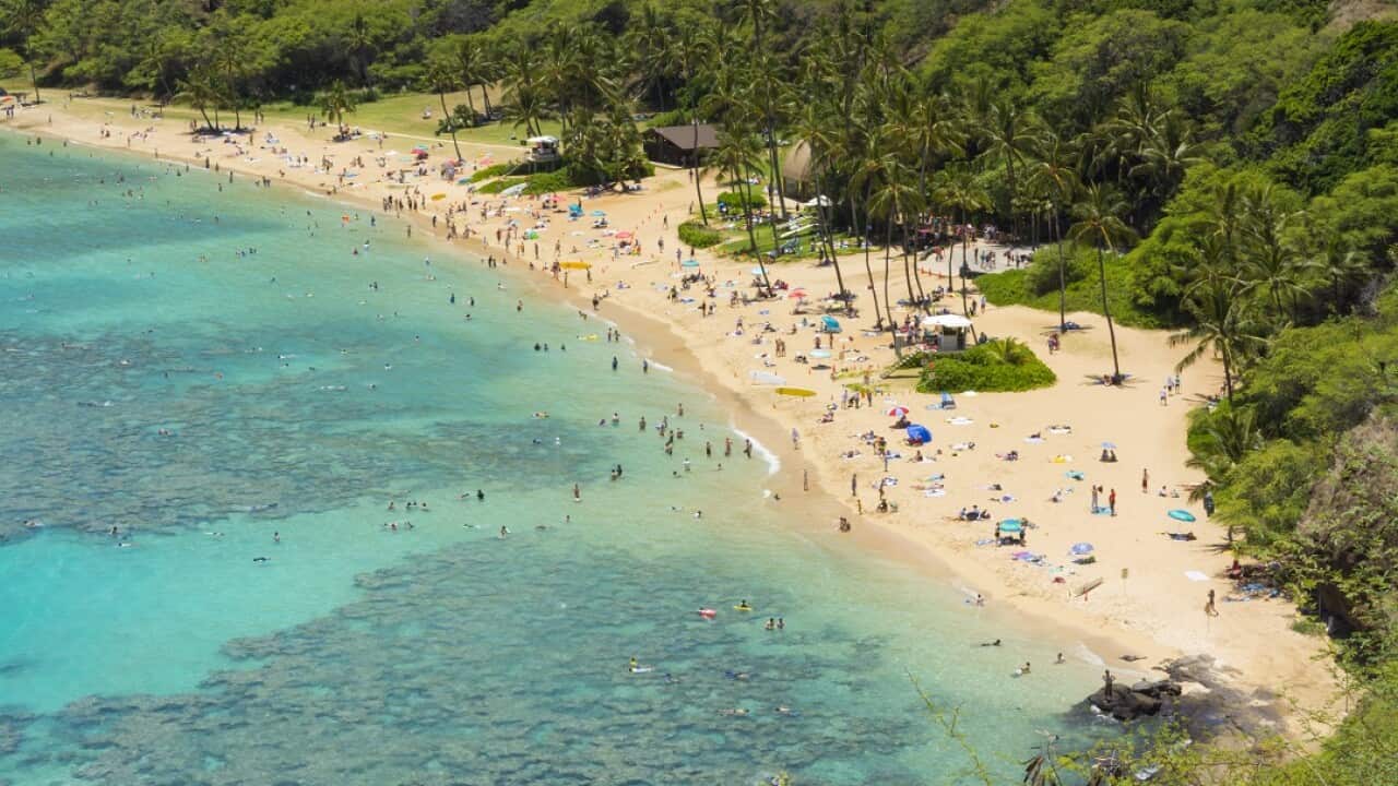 Hawaii's famous reef at Hanauma Bay.