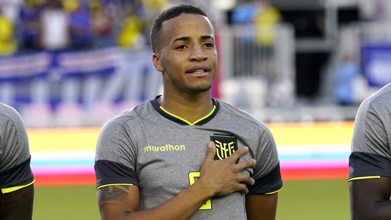 WCup Chile Appeal
