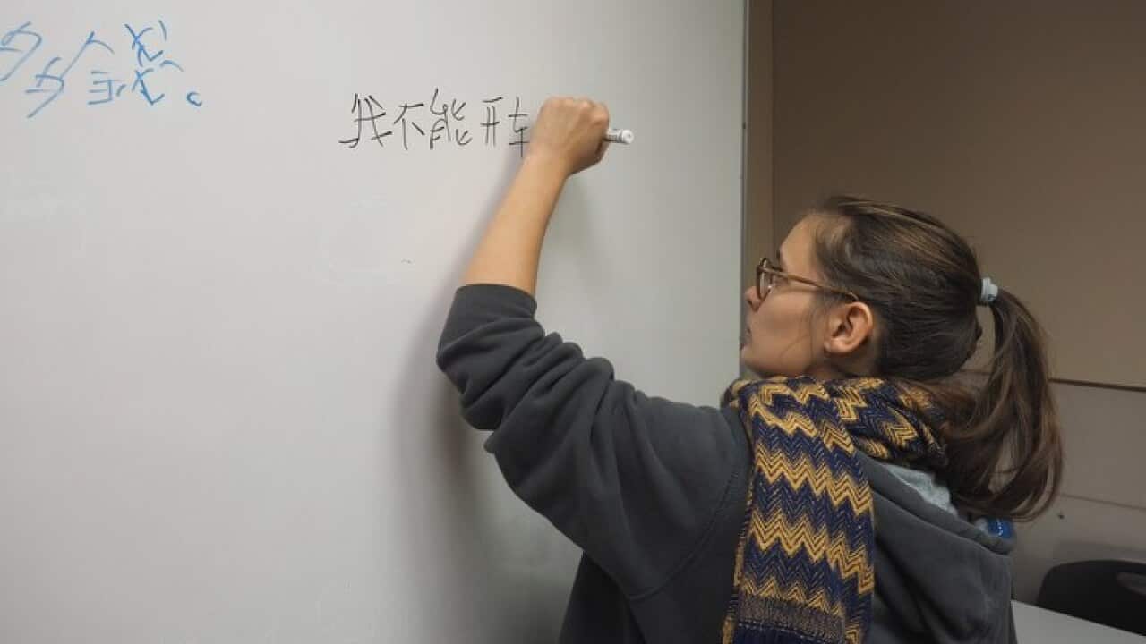 A foreign student writes Chinese characters