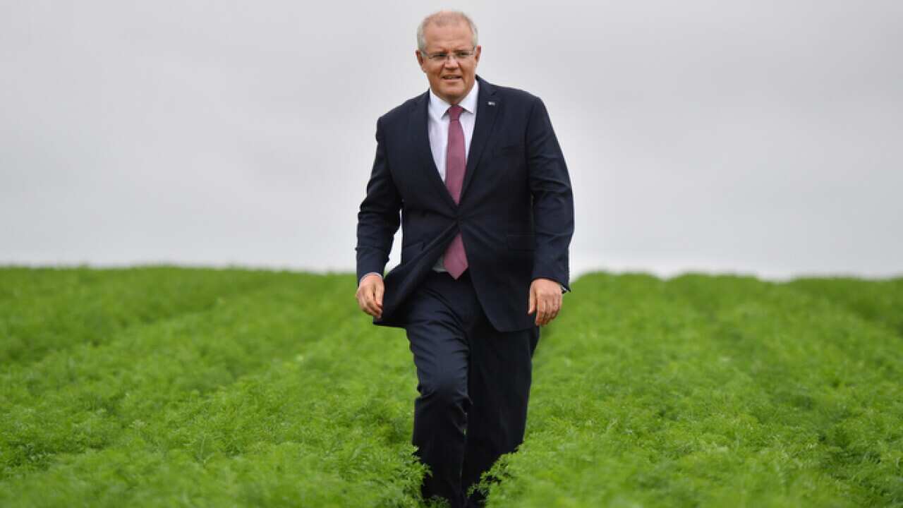 Prime Minister Scott Morrison at a farm near Devonport in Tasmania