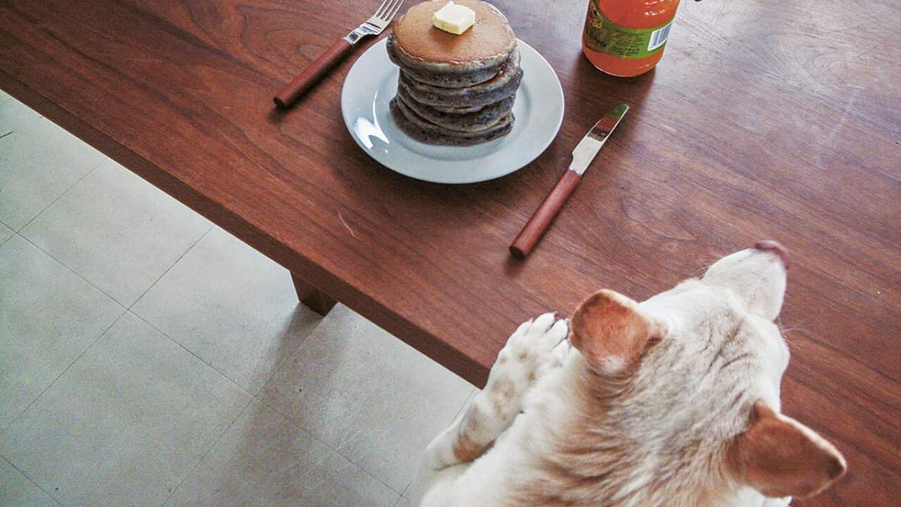 Black sesame pancakes