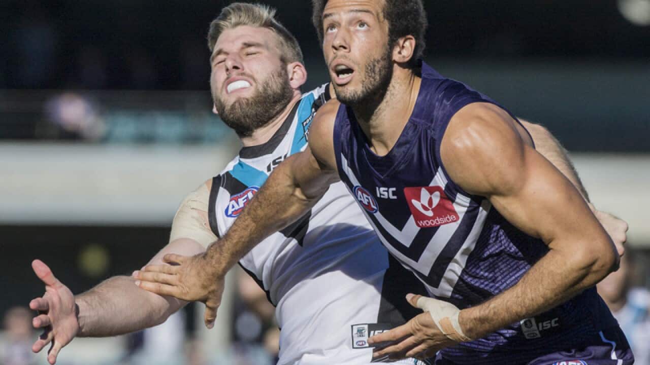 Jackson Trengrove of Port Adelaide and Zac Clarke of the Dockers