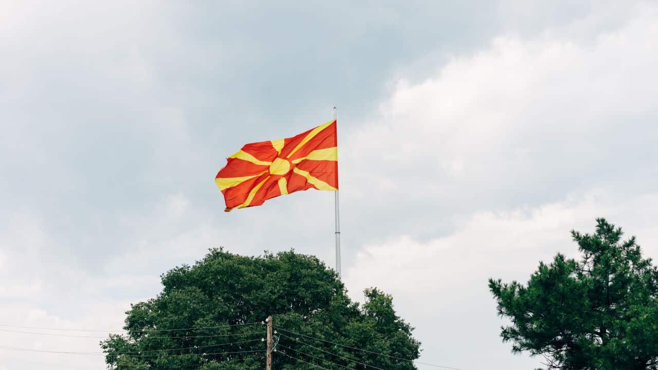 pexels-markus-winkler-1430818-2862157.jpg