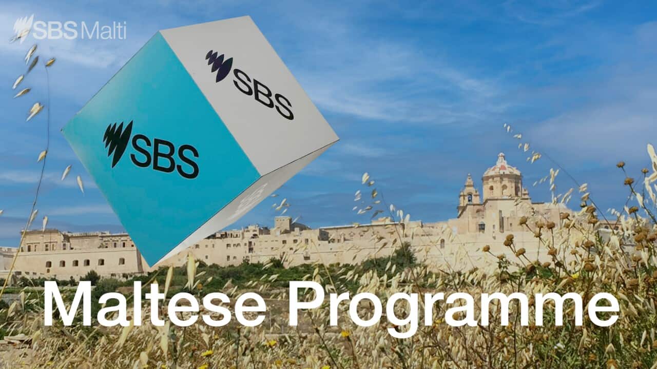 MALTESE_SBS_PROGRAMME 04.jpg