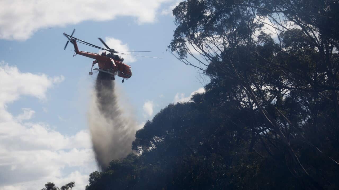 A waterbombing aircraft drops water on a bushfire in Lane Cove. A waterbombing helicopter has crashed in NSW. 
