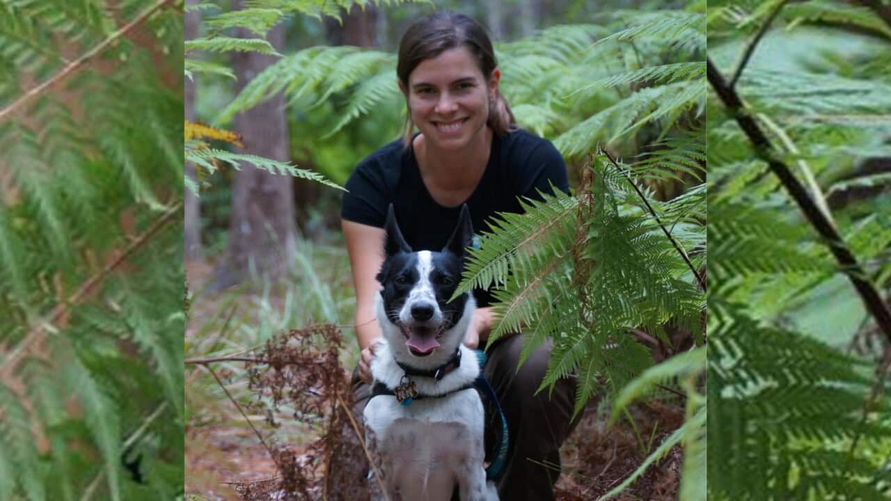 Image for read more article ''