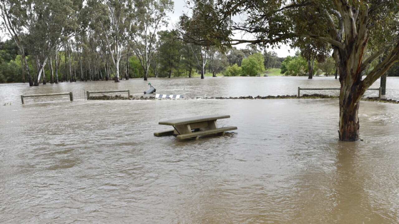 Flooding in the Barossa town of Tanunda
