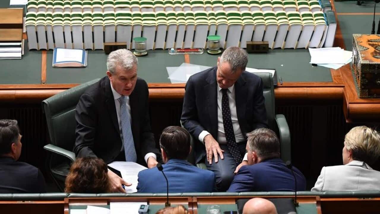 It appears unlikely Labor will push for a no-confidence motion after the Liberals' Wentworth defeat.