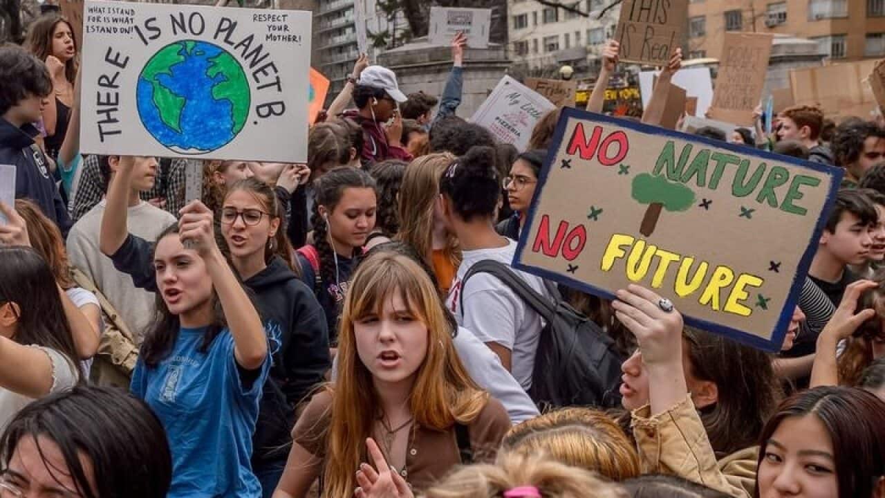 School students around the world have protested against government inaction on climate change.